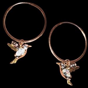 Hummingbird Hoops Cute Charm Hoop Earrings Gold Bird Crystal Stones Birds Nature